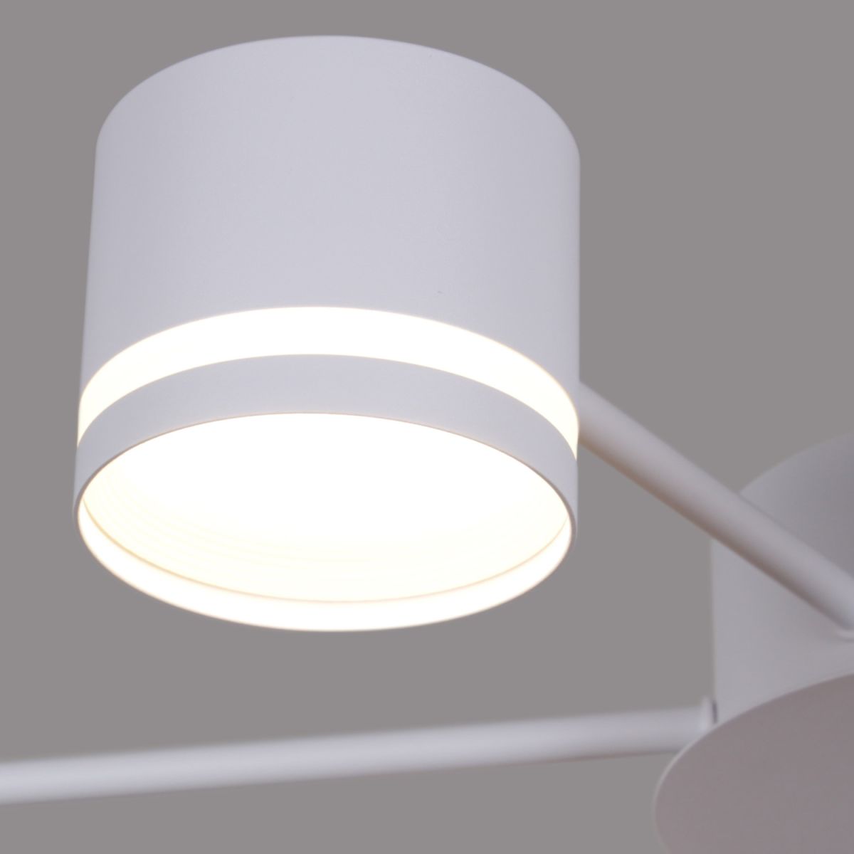 Потолочная люстра Reluce 06730-0.3-08 GX53 WT