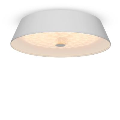 Потолочный светильник Freya Cells FR10013CL-L24W