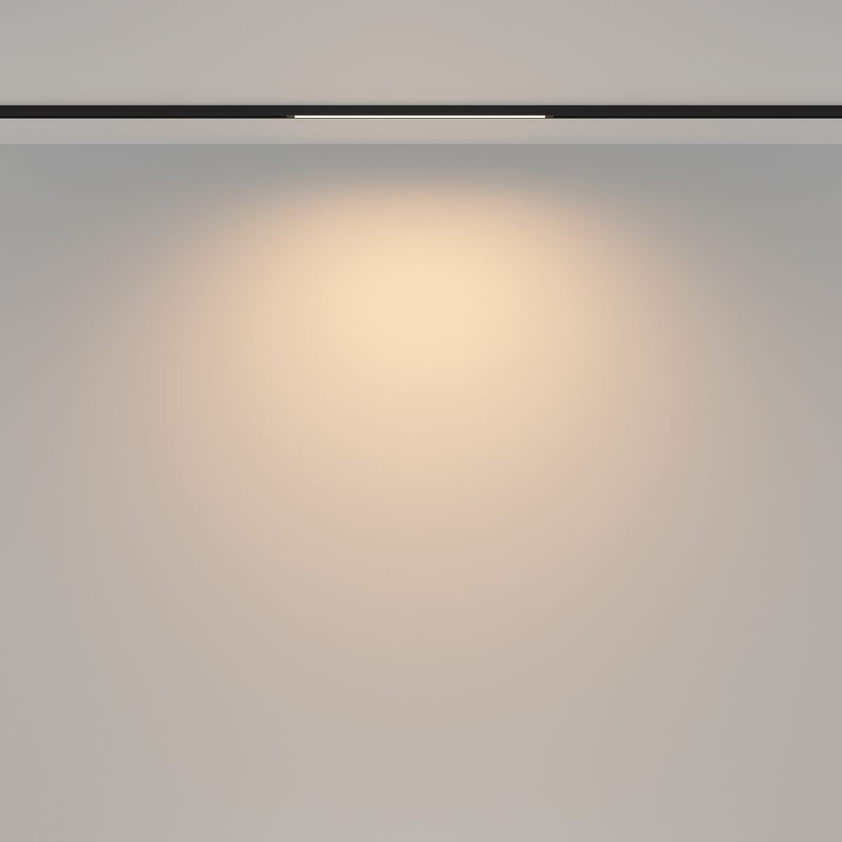 Трековый магнитный светильник Maytoni Basis TR173-1-8WTW-B
