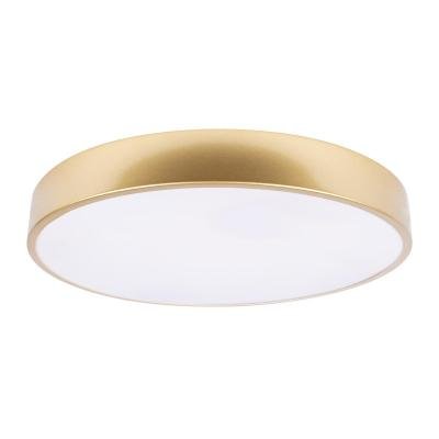 Потолочный светильник Loft IT Flims 10228/A
