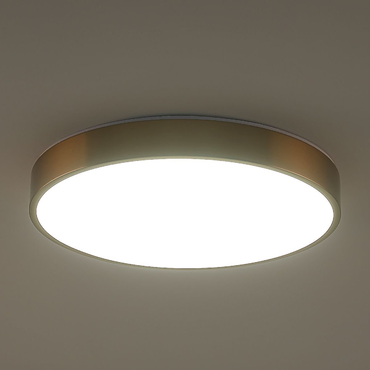 Потолочный светильник Zortes Tortty ZRS.02566.72