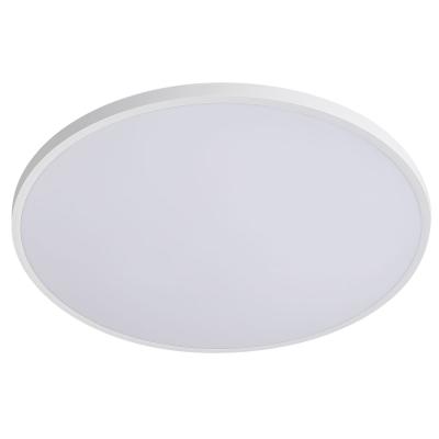 Настенно-потолочный светильник Lightstar Arco Eco 225751
