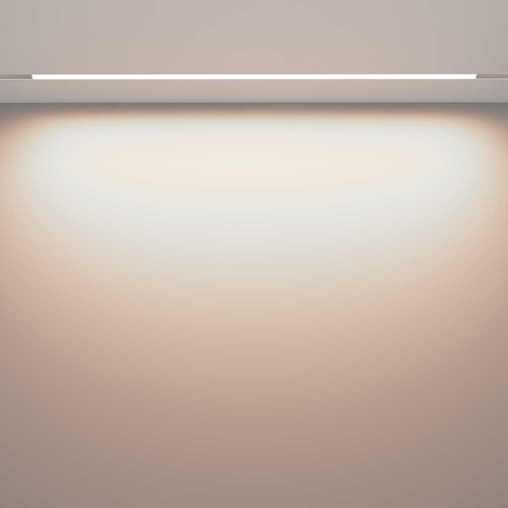 Трековый светодиодный светильник Maytoni Technical Exility Basis TR030-2-30W4K-W