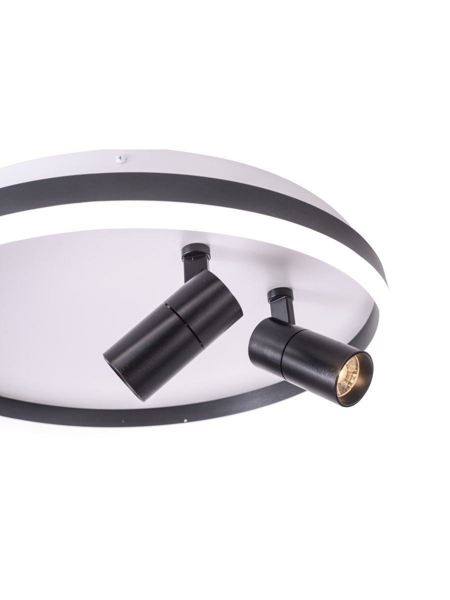 Потолочный светильник Zortes Raizy ZRS.1888.01