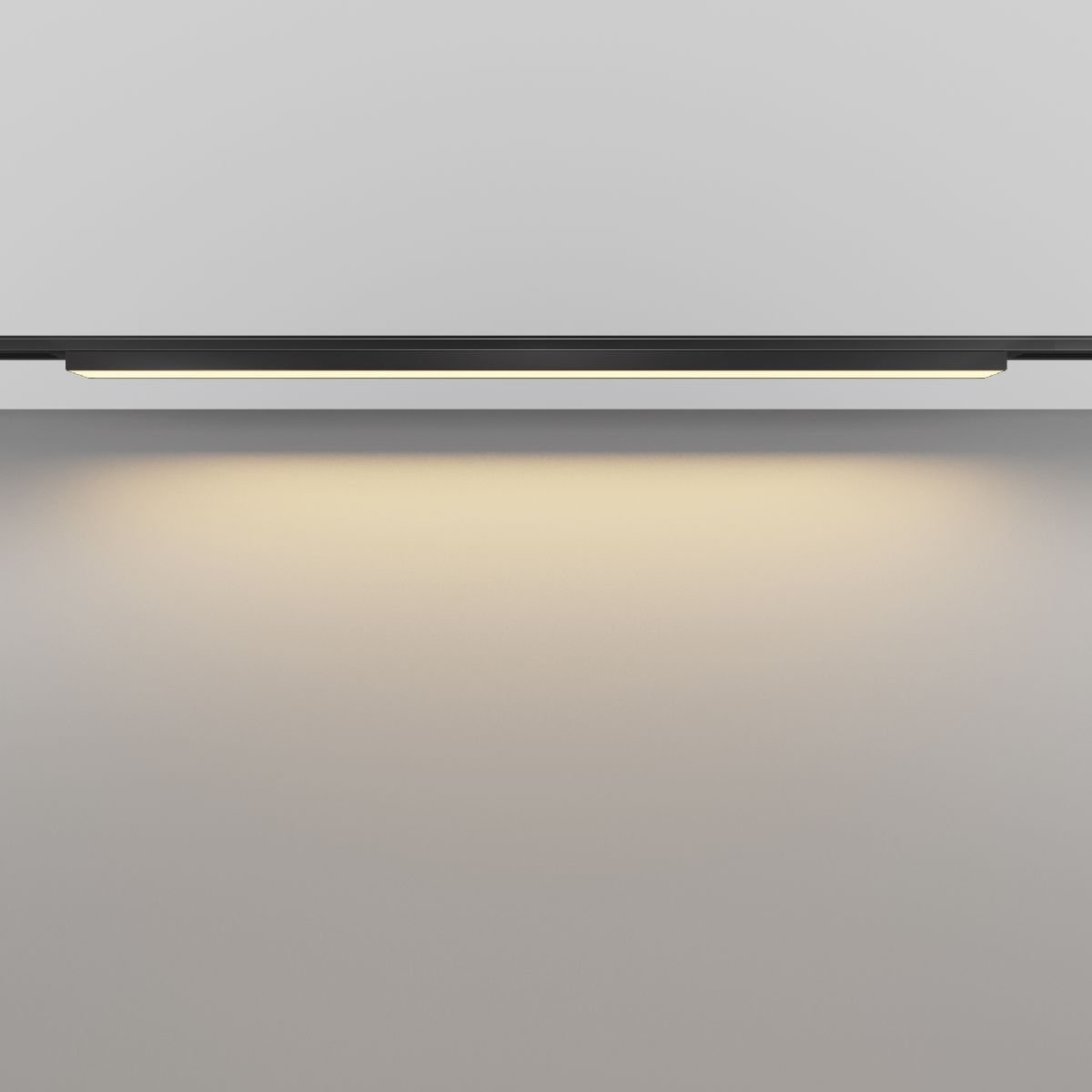 Трековый магнитный светильник Maytoni Basis TR192-1-21W2.7K-B