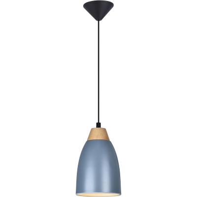 Подвесной светильник Toplight Leah TL0724H-2N