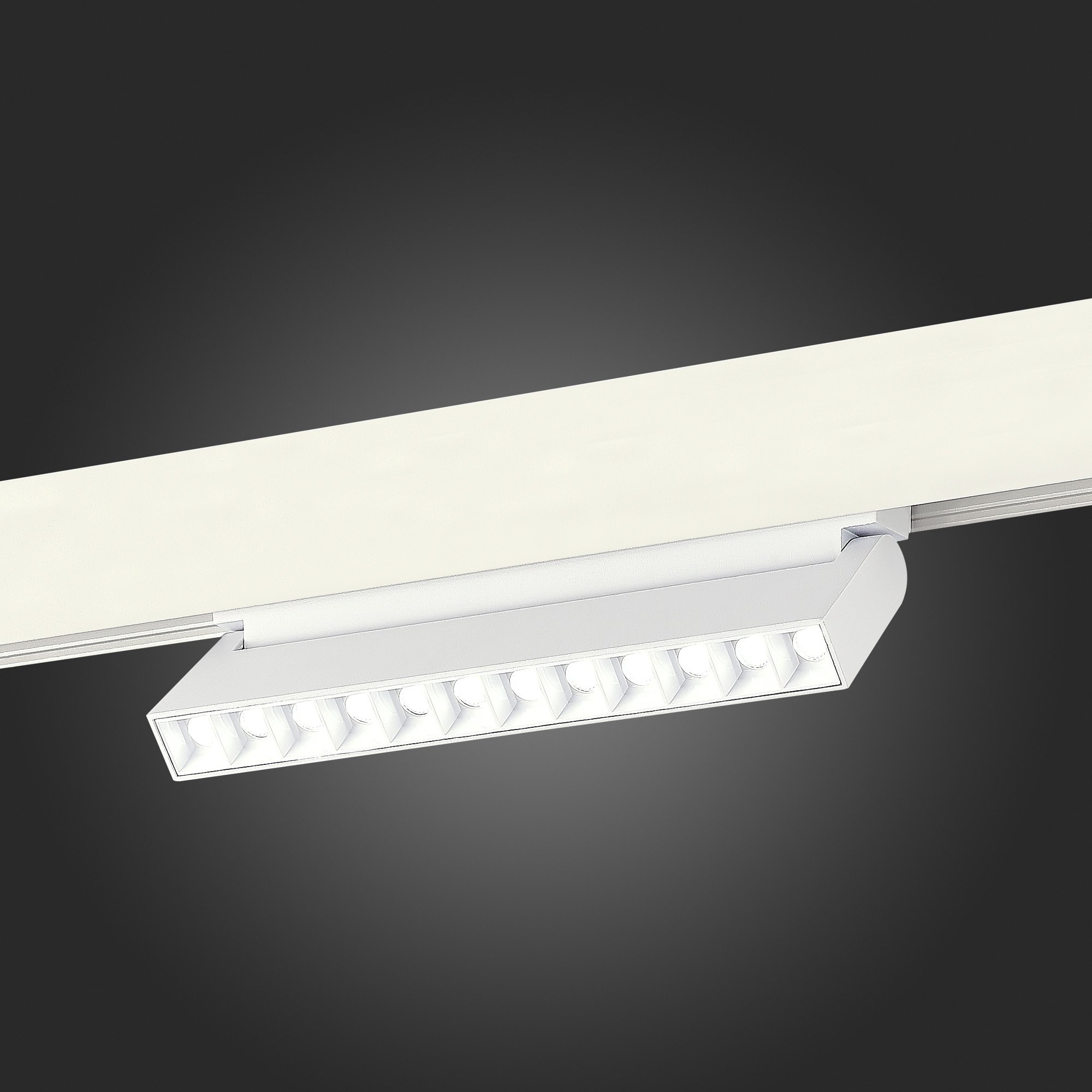 Трековый светильник ST Luce Skyline 48 ST372.506.12