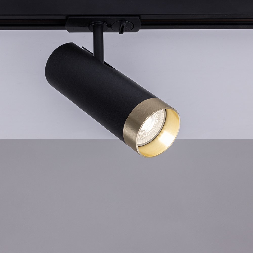 Трековый однофазный светильник Arte Lamp Topic A2356PL-1BK