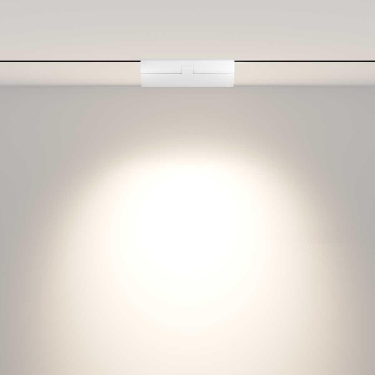 Трековый светодиодный светильник Maytoni Technica Points TR033-2-12W4K-W
