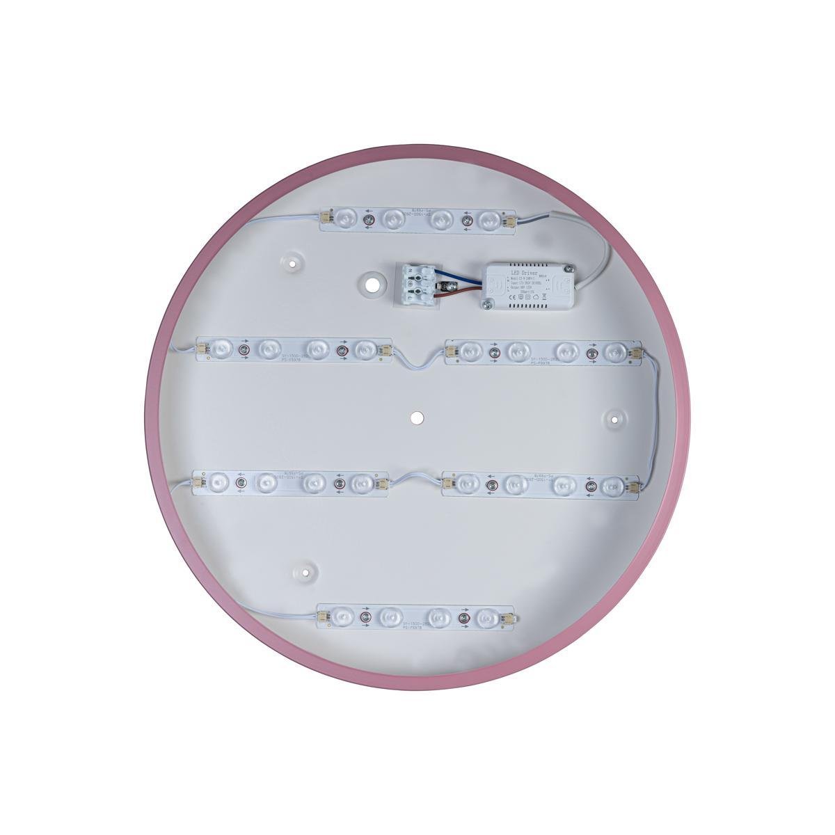 Потолочный светодиодный светильник Loft IT Axel 10003/24 pink