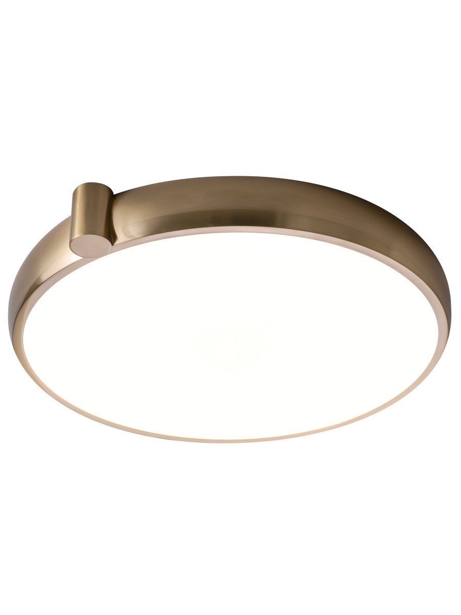 Потолочный светильник Zortes Gimpel ZRS.1209.17