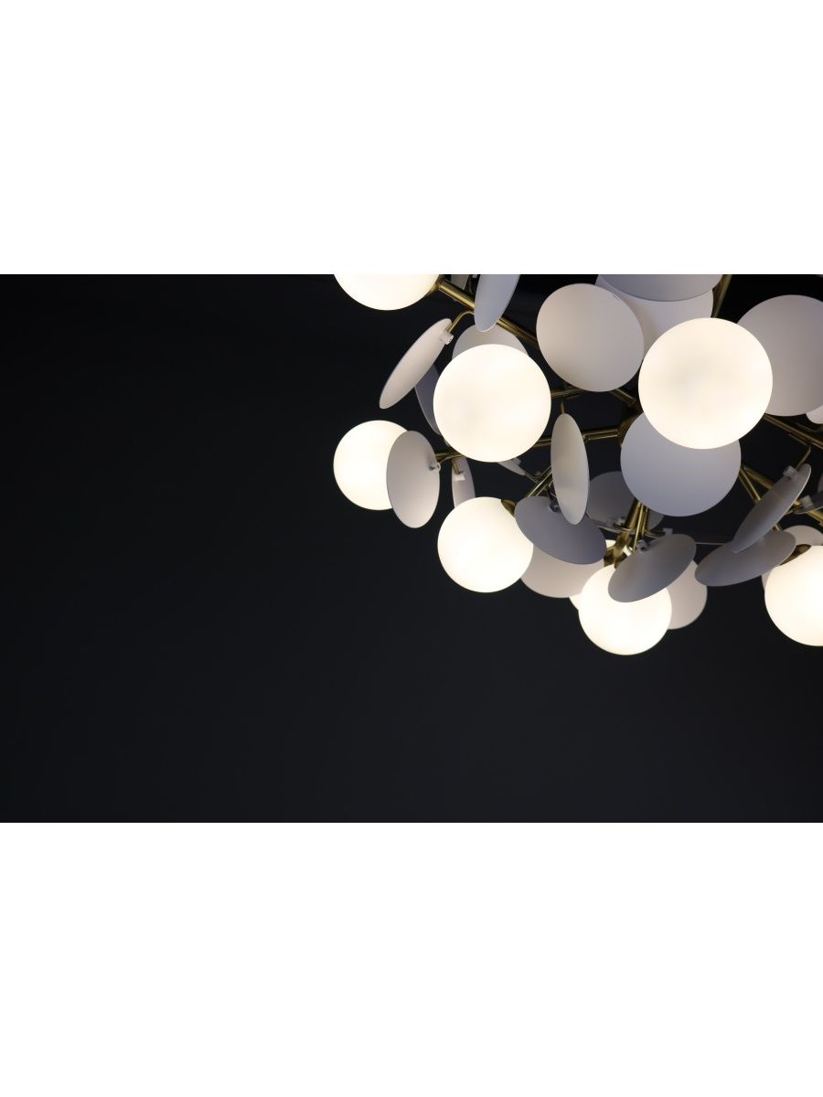 Люстра на штанге Zortes Floret ZRS.01201.12