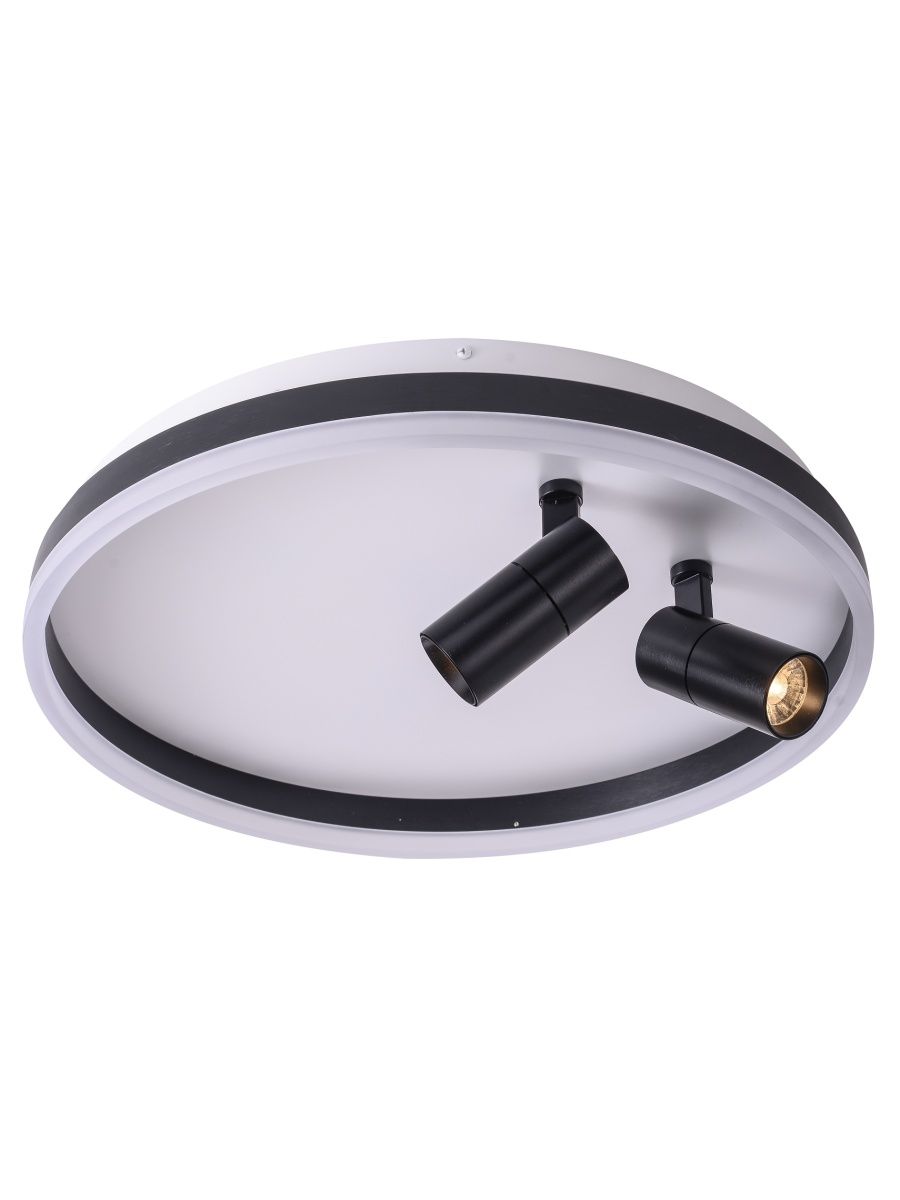 Потолочный светильник Zortes Raizy ZRS.1888.01