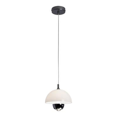 Подвесной светильник Lussole Poughkeepsie LSP-7524