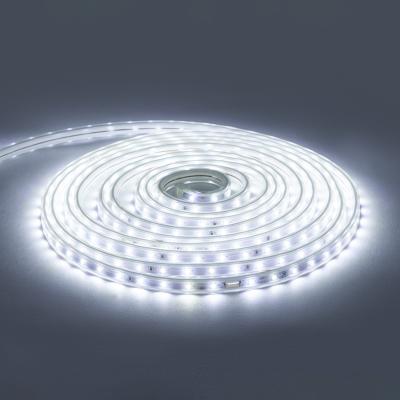 Комплект светодиодной ленты Apeyron 220В 6Вт/м smd2835 60д/м IP65 5м 6500К (сетевой шнур, заглушка, крепежи) 10-55
