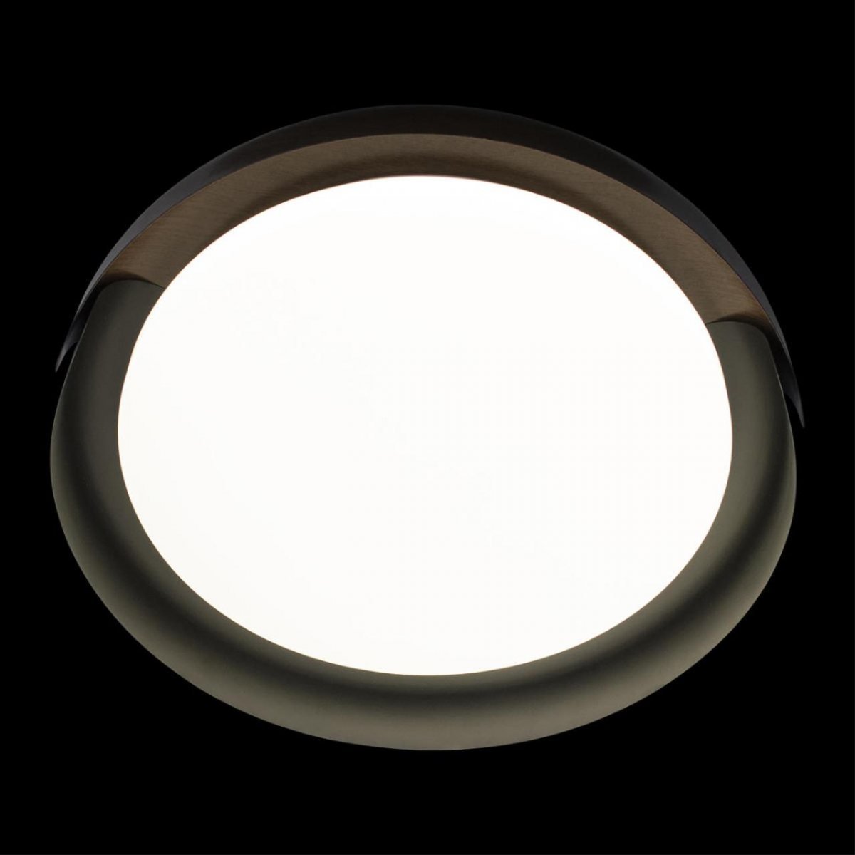 Потолочный светильник Loft IT Coin 10198 Black