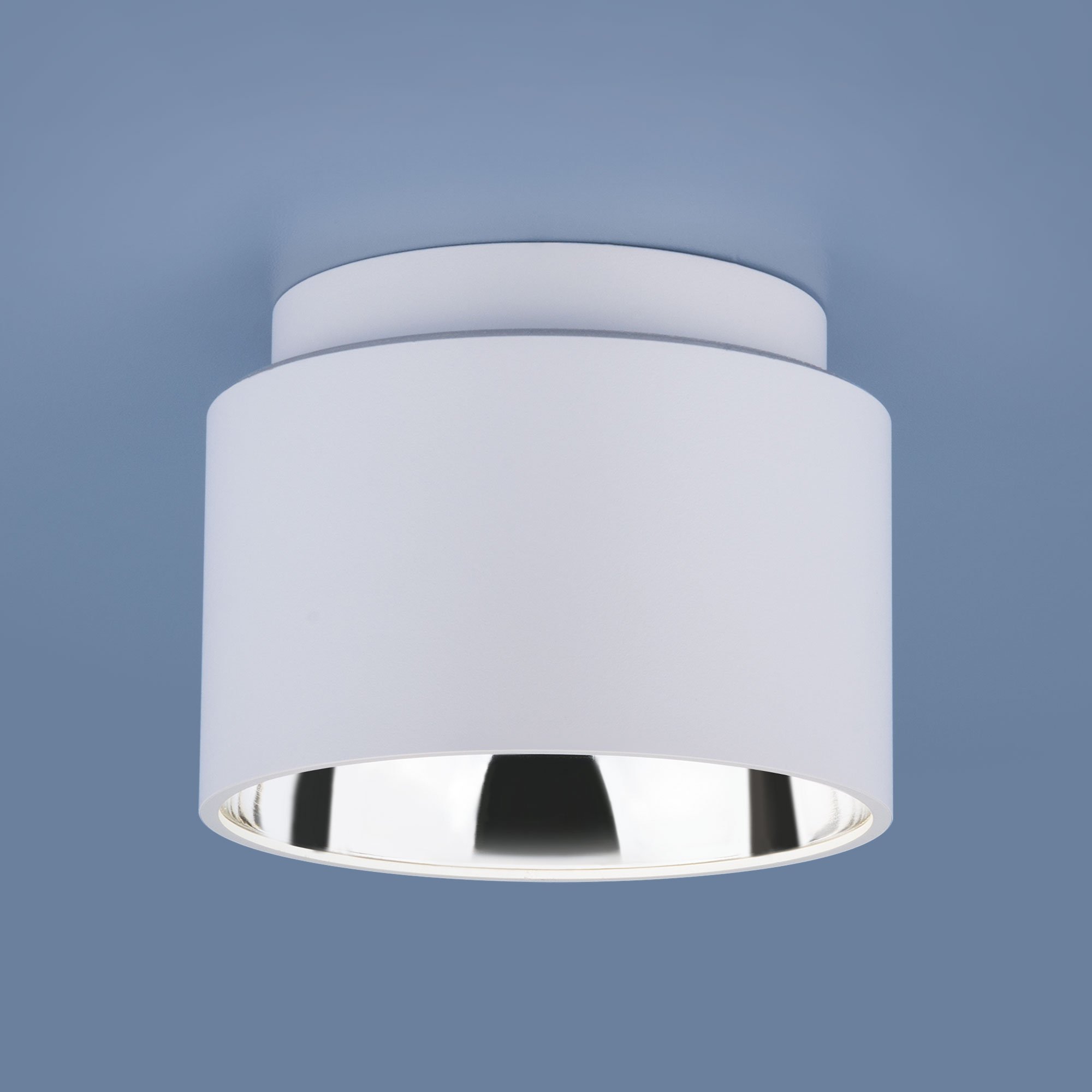 Потолочный светильник Elektrostandard 1069 GX53 WH белый матовый 4690389098512