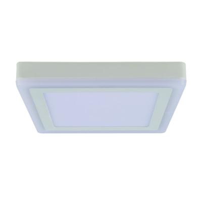 Потолочный светодиодный светильник Arte Lamp Altair A7724PL-2WH Потолочный светодиодный светильник Arte Lamp Altair A7724PL-2WH