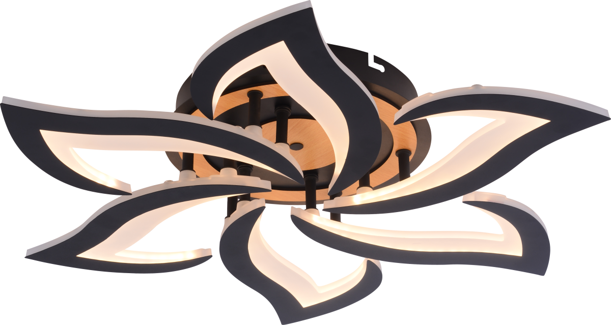 Потолочный светильник Rivoli Cassandra 6194-733 Б0070141