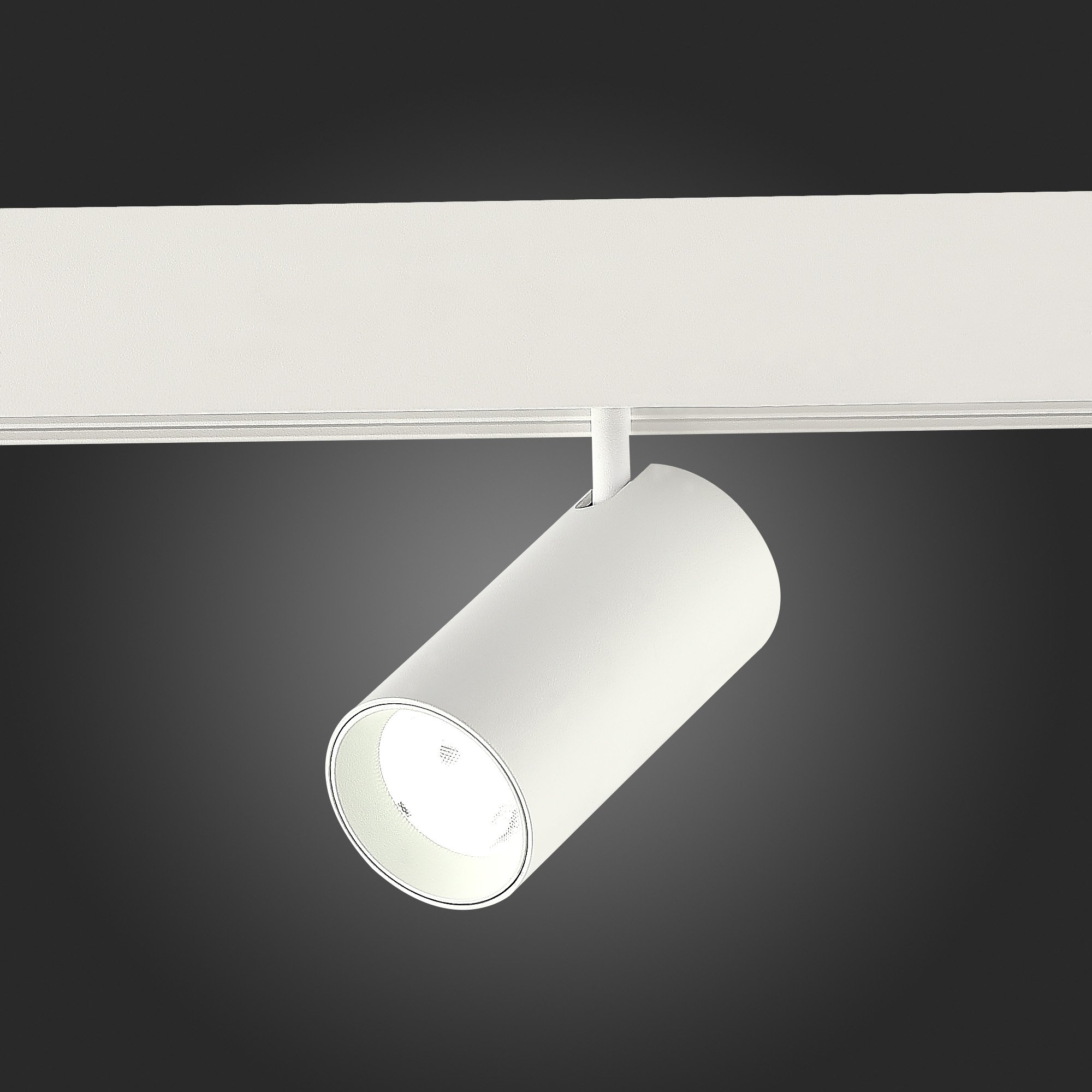 Трековый светильник ST Luce Skyline 48 ST375.506.12