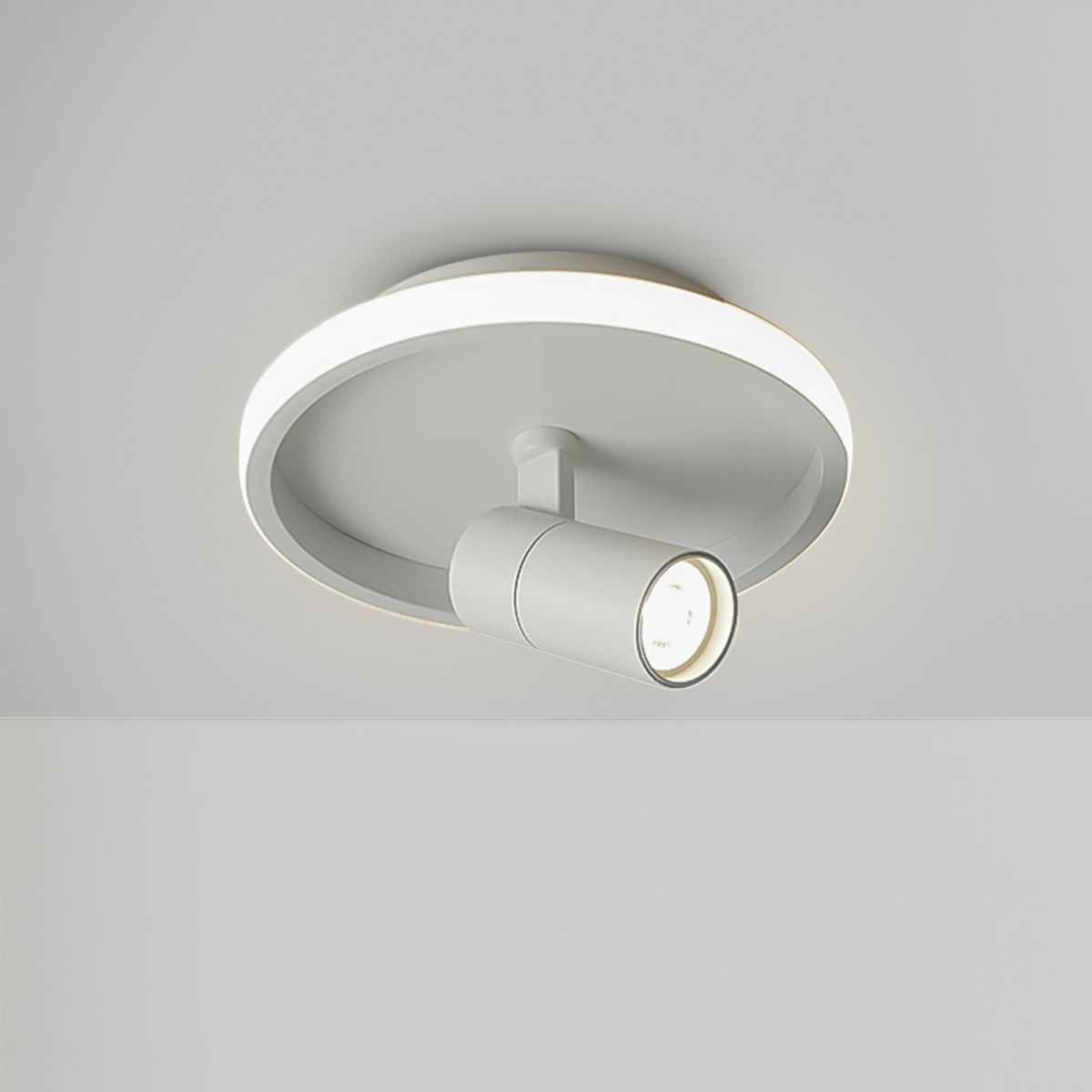 Потолочный светильник Freya Neo FR6040CL-L14W