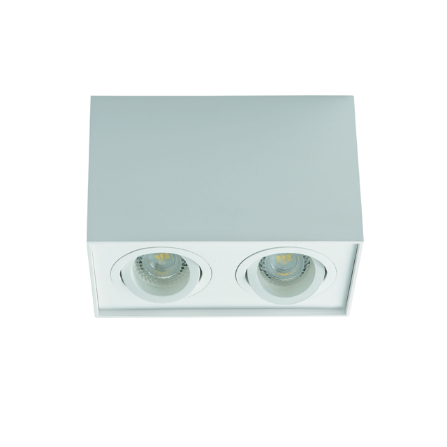 Накладной светильник Kanlux Gord DLP 250-W 25473