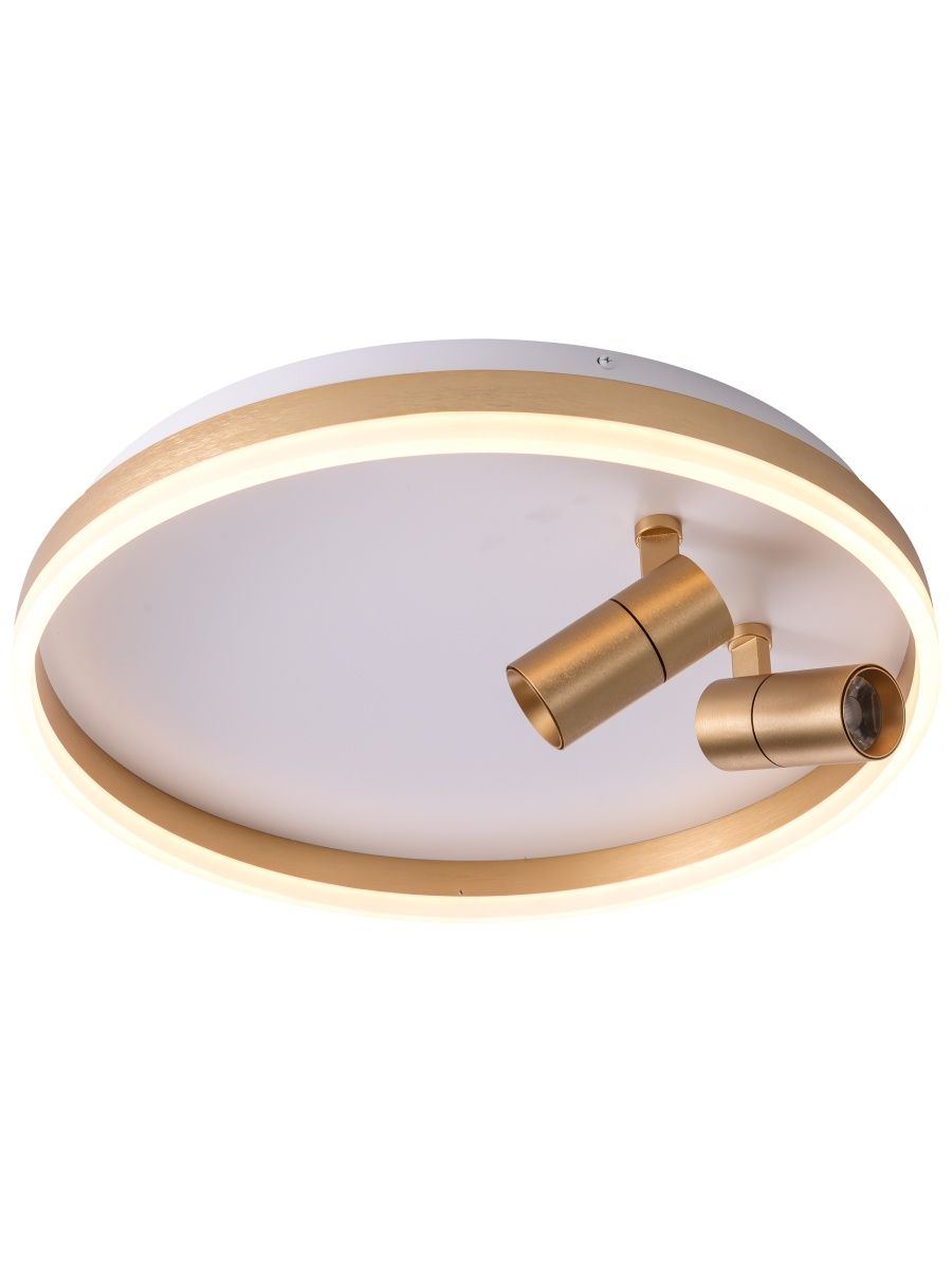 Потолочный светильник Zortes Raizy ZRS.1888.02