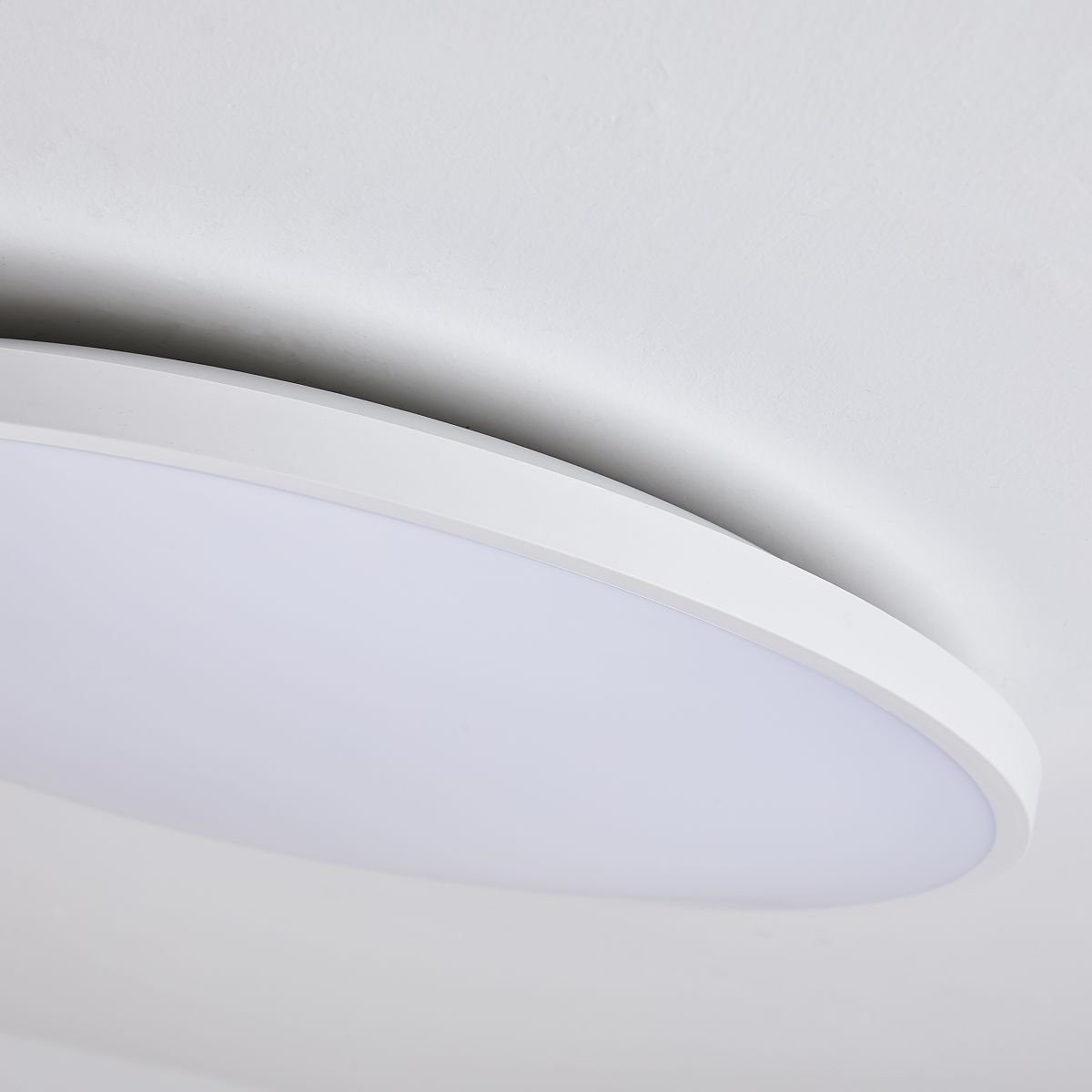 Настенно-потолочный светильник Lightstar Arco Eco 225720
