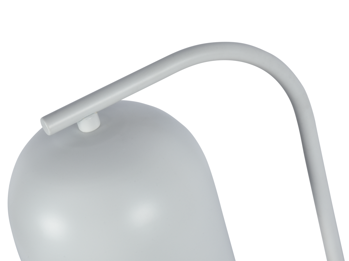 Настольная лампа Zortes DeskLight ZRS.1066.02