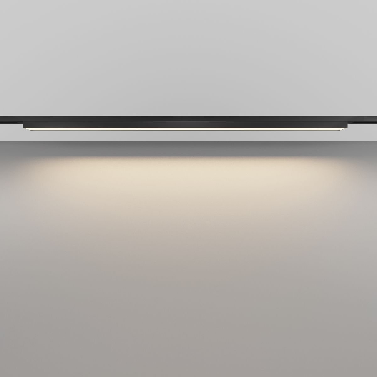 Трековый магнитный светильник Maytoni Basis TR192-1-21W3K-B