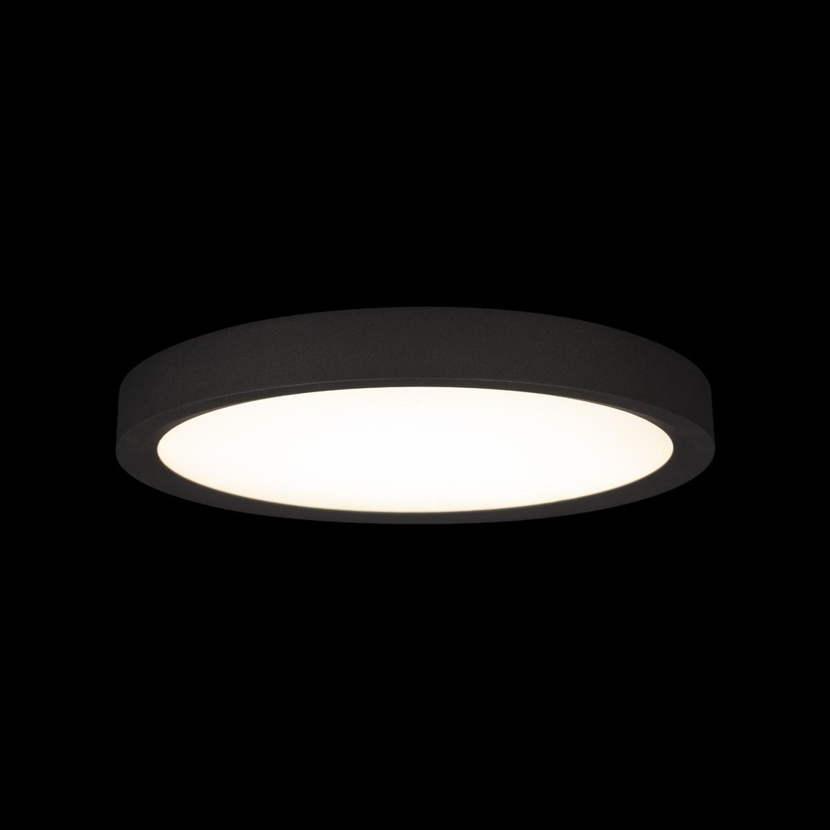 Потолочный светильник Loft IT Extraslim 10227/24 Black