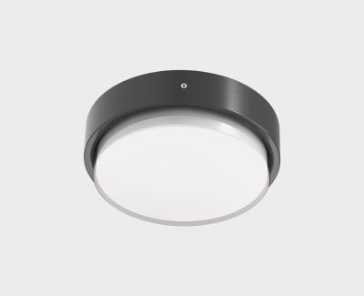 Уличный потолочный светильник Italline IT6026