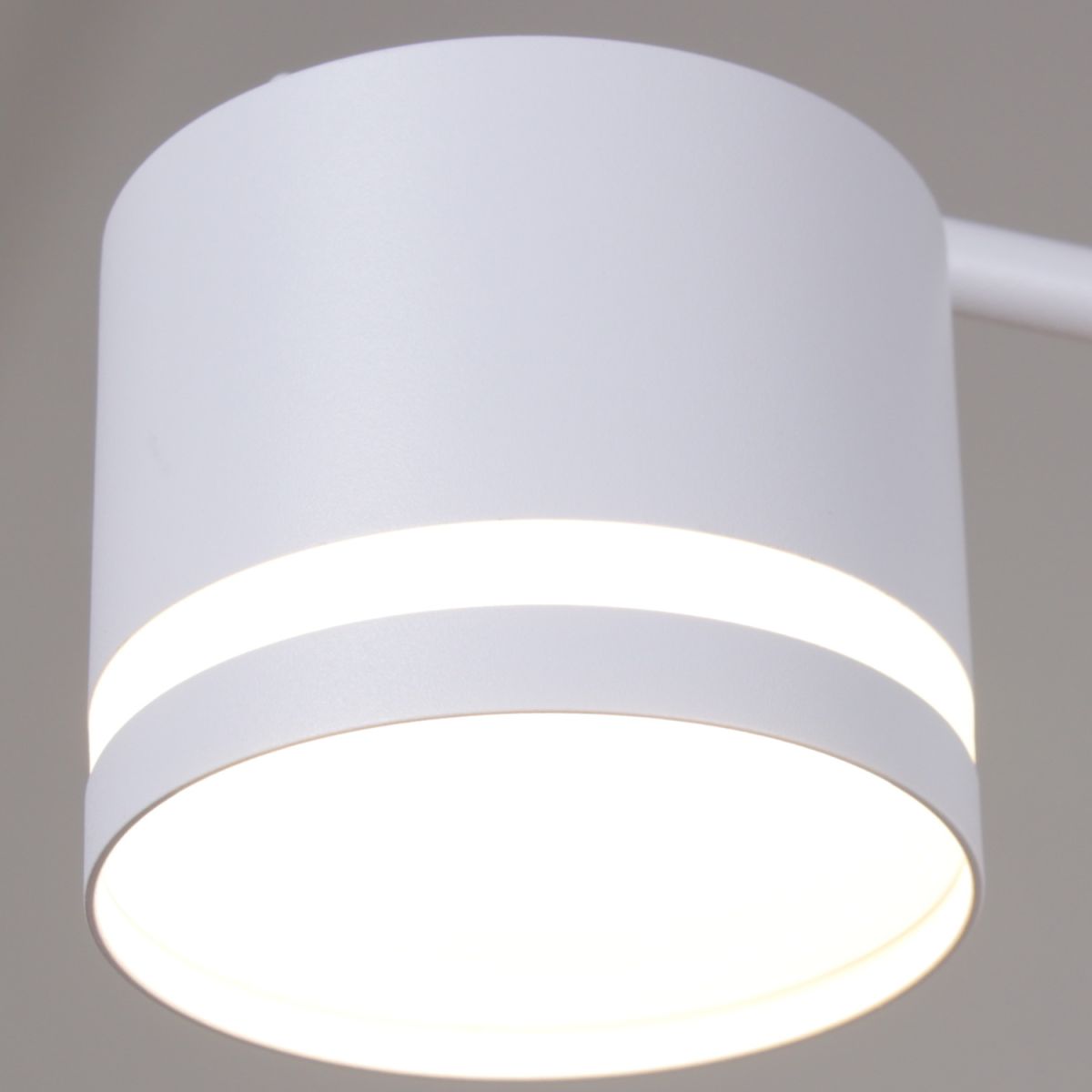 Люстра на штанге Reluce 96730-0.3-09 GX53 WT