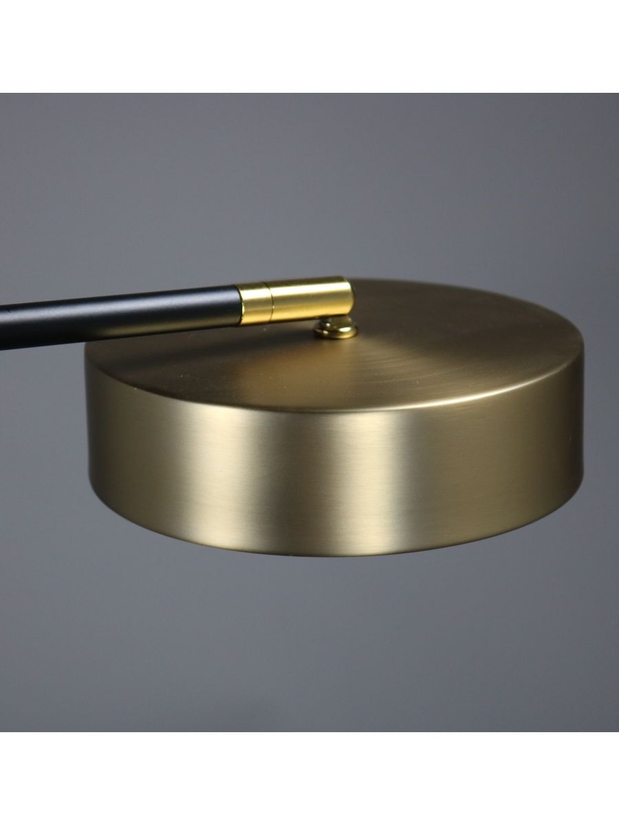 Люстра на штанге Zortes Lunar ZRS.01243.06