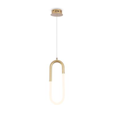 Подвесной светильник Freya Magnet FR6106PL-L13G