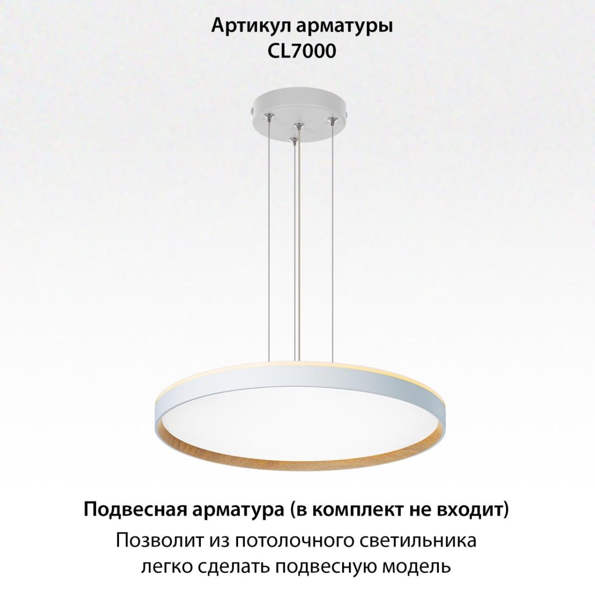 Накладной светильник Citilux Etalon CL750500R