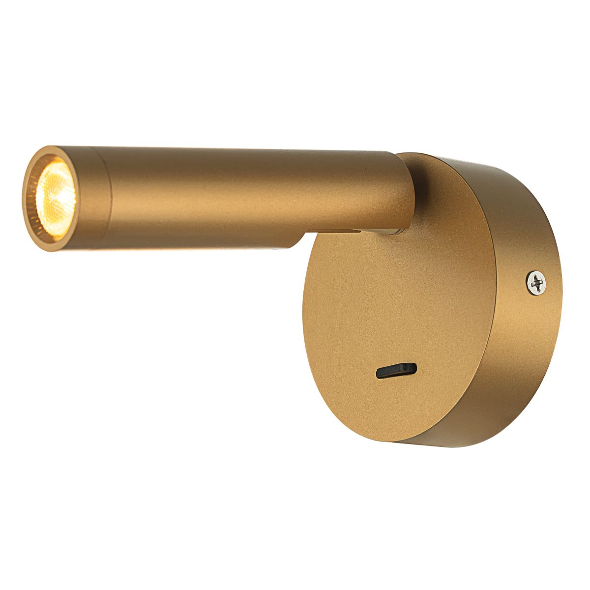 Спот Citilux Dekart CL704102