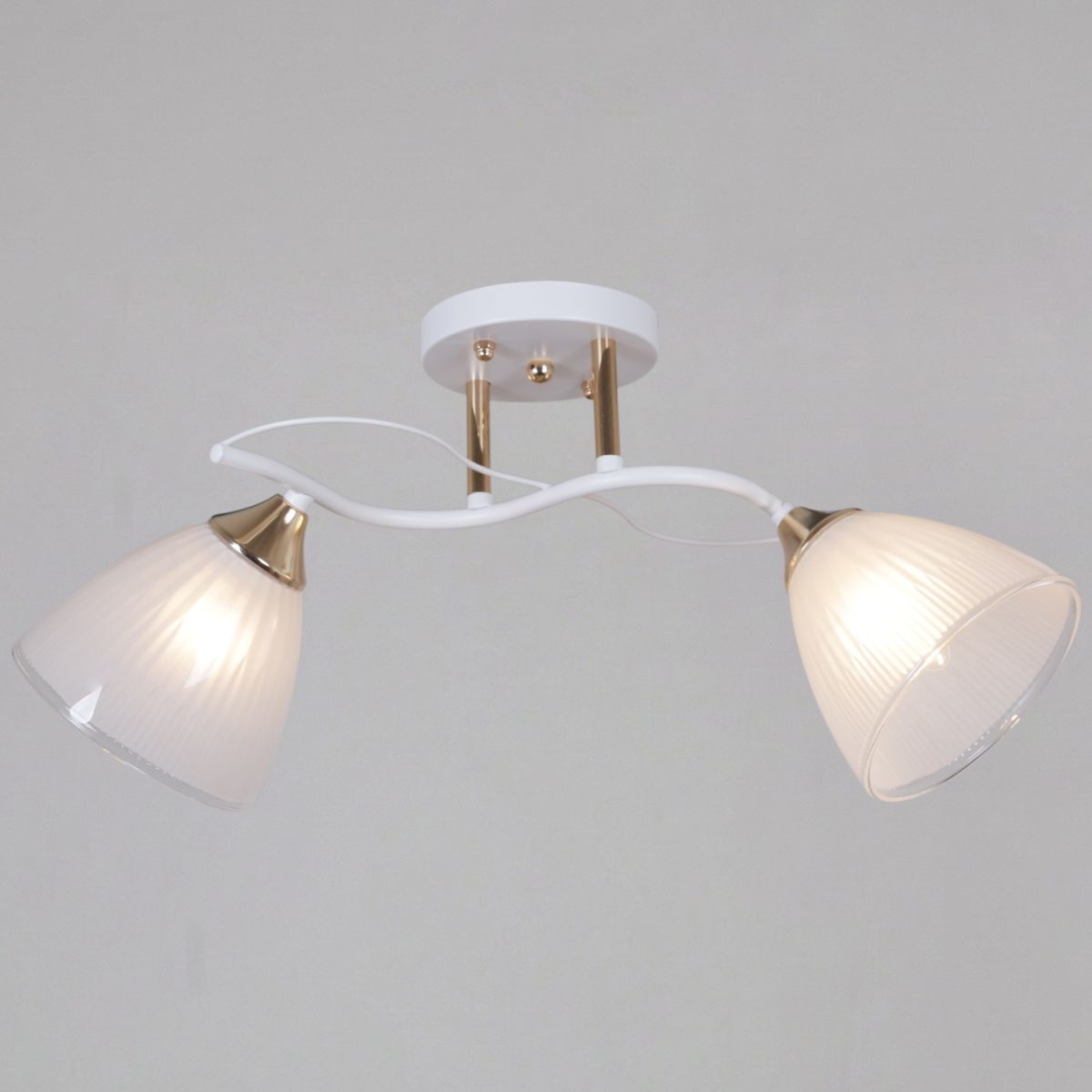 Потолочный светильник Reluce 64460-0.3-02 WH+FG