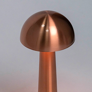 Настольная лампа Escada Evo 10257/L LED