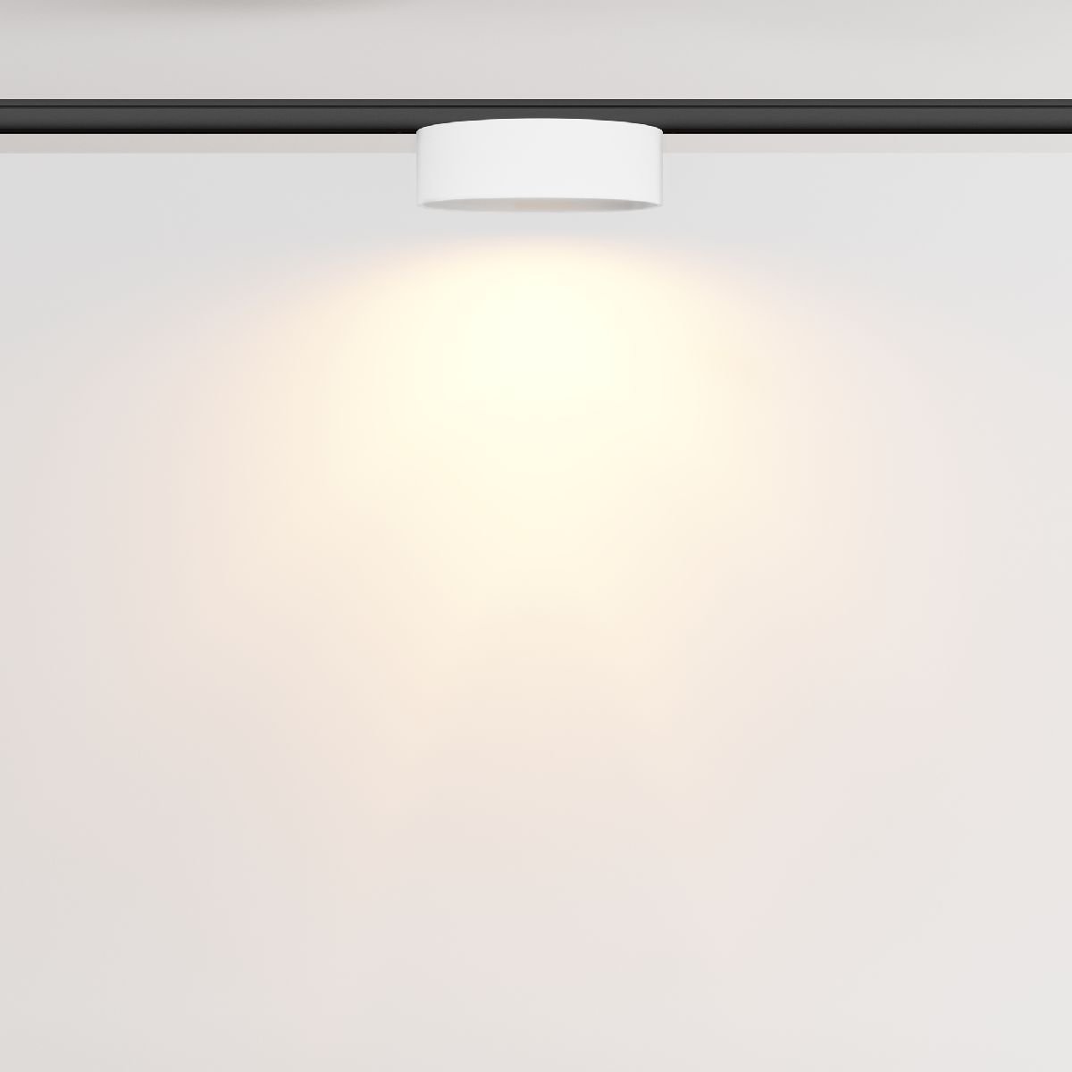 Трековый магнитный светильник Maytoni Zon TR189-1-12W2.7K-BW