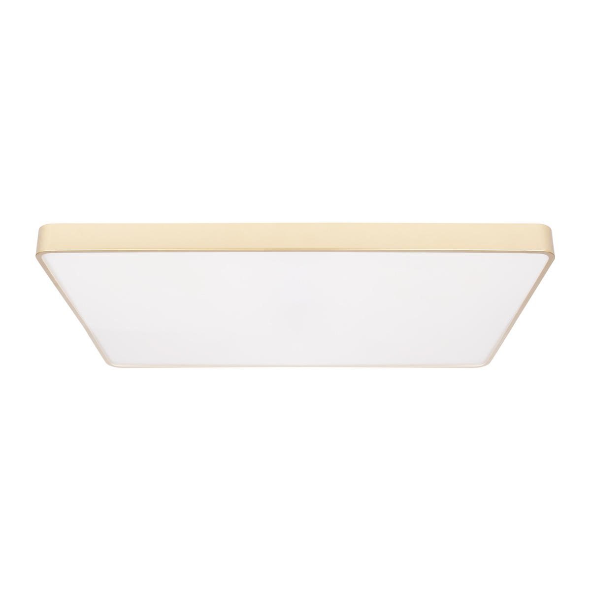 Потолочный светильник Loft IT Flims 10228/E