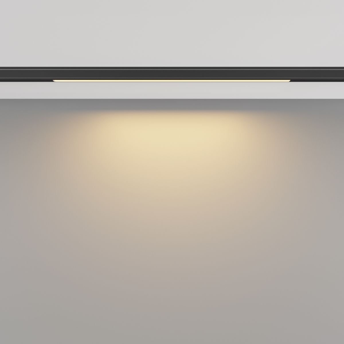 Трековый магнитный светильник Maytoni Basis TR190-1-5W2.7K-B