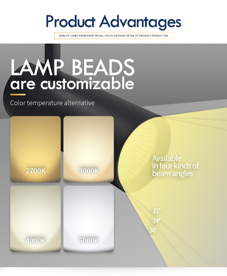 Трековый светильник SWG TL3P-BL-10-WW 008844