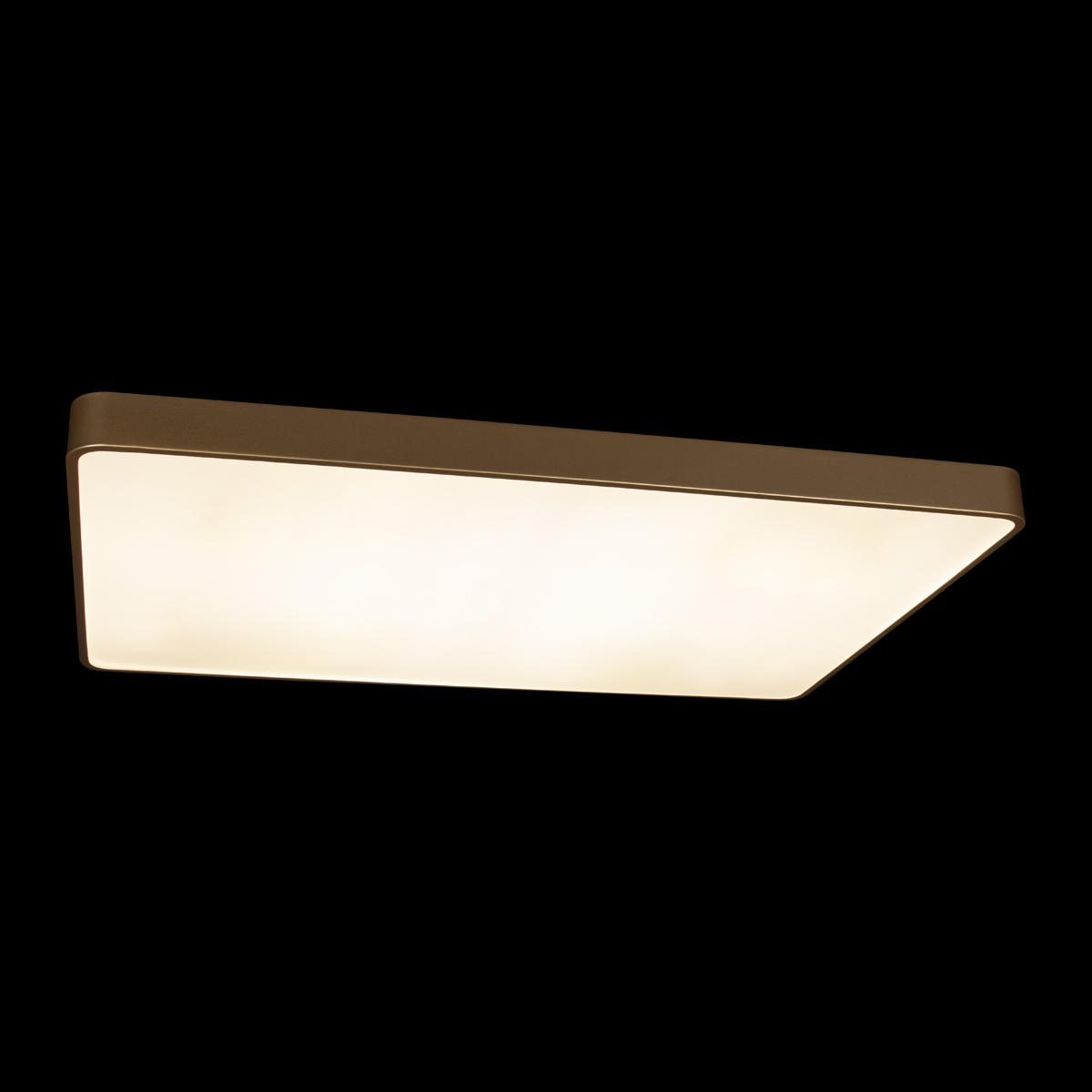Потолочный светильник Loft IT Flims 10228/E