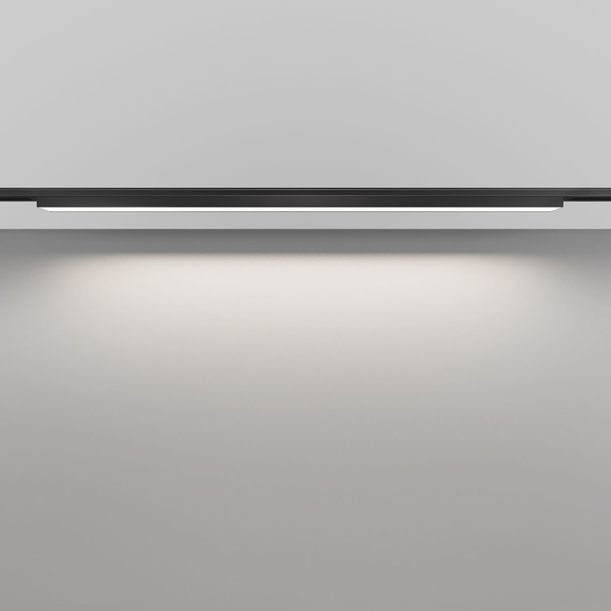 Трековый магнитный светильник Maytoni Basis TR192-1-21W4K-B