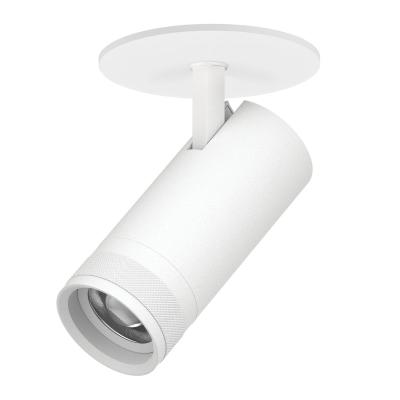 Встраиваемый светильник 20-55G с адаптером Lightstar Canno Pro C4206RS