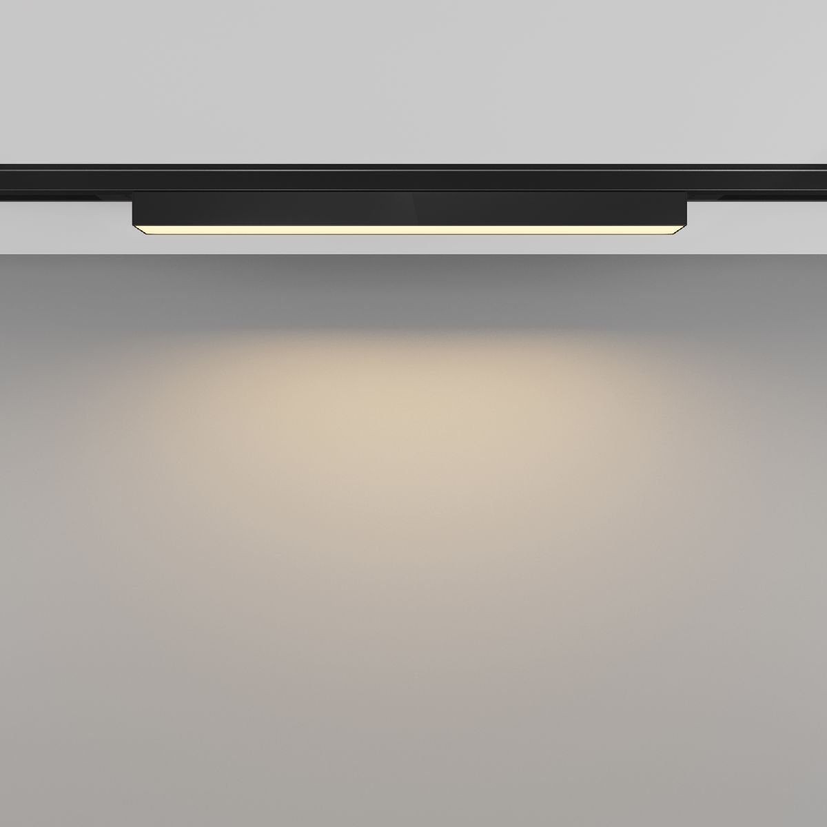 Трековый магнитный светильник Maytoni Basis TR192-1-8W2.7K-B