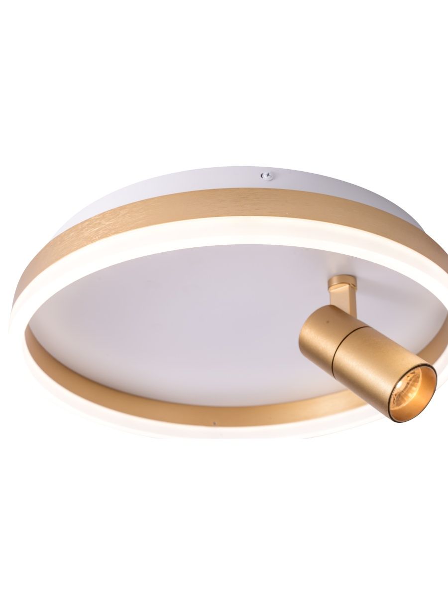 Потолочный светильник Zortes Raizy ZRS.1888.04