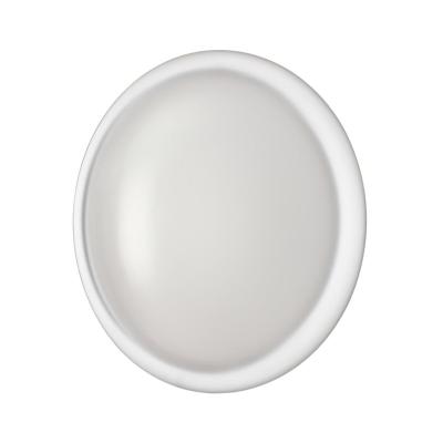 Настенно-потолочный светильник Sonex Pale Jolly 7776/DLN