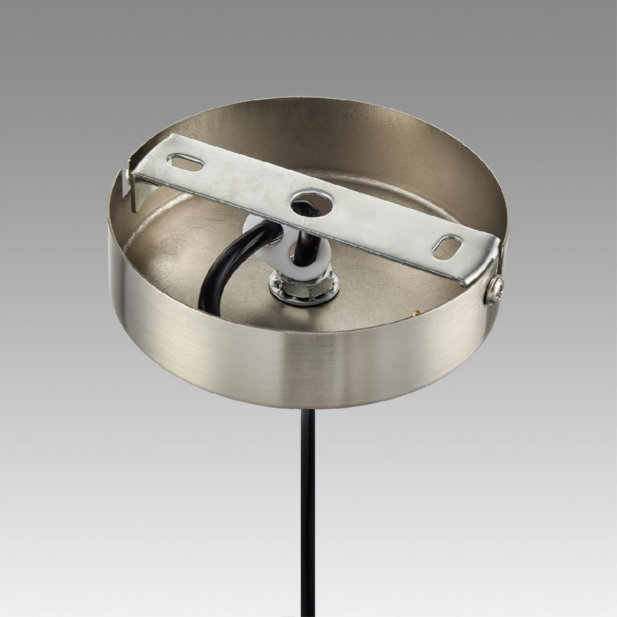 Подвесной светильник Lumion Ilaida 8039/1